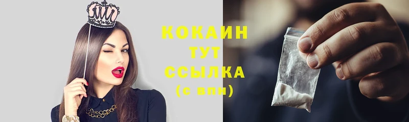 COCAIN Эквадор  Выборг 